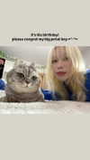lilicapie Altpins Profile Picture