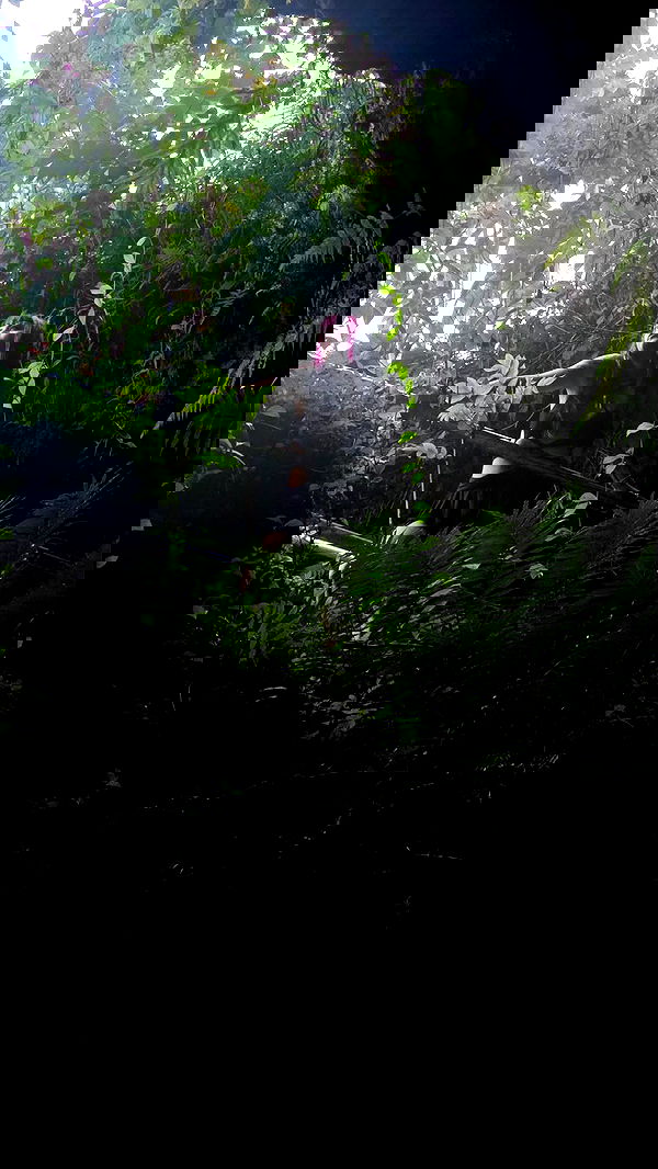 lilith.hecate lilith.hecate archive image