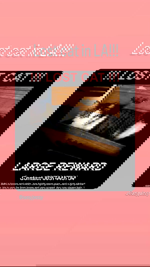 lilith.hecate lilith.hecate archive image