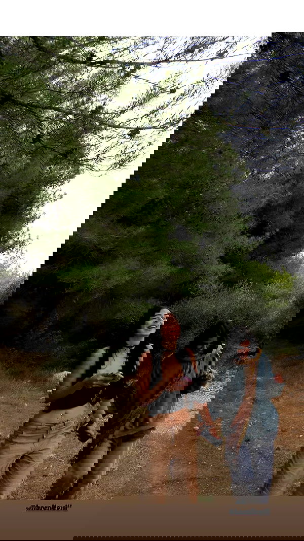 lilllush lilllush archive image