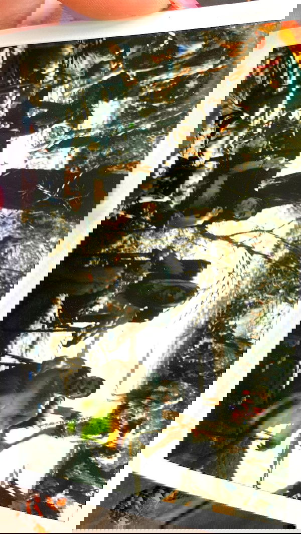 lilllush lilllush archive image