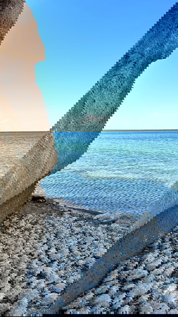 lilllush lilllush archive image