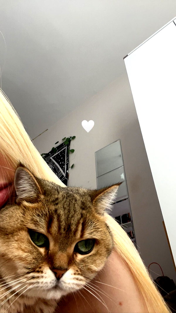 lillybyheart.xo instagram image archive image