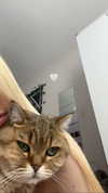 lillybyheart.xo Altpins Profile Picture