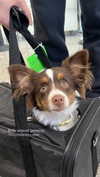 lilsyourfav Altpins Profile Picture