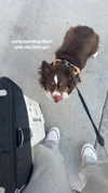 lilsyourfav Altpins Profile Picture