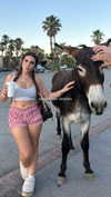 lilsyourfav Altpins Profile Picture