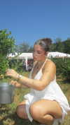 lilsyourfav Altpins Profile Picture