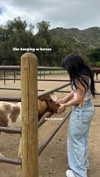 lilsyourfav Altpins Profile Picture