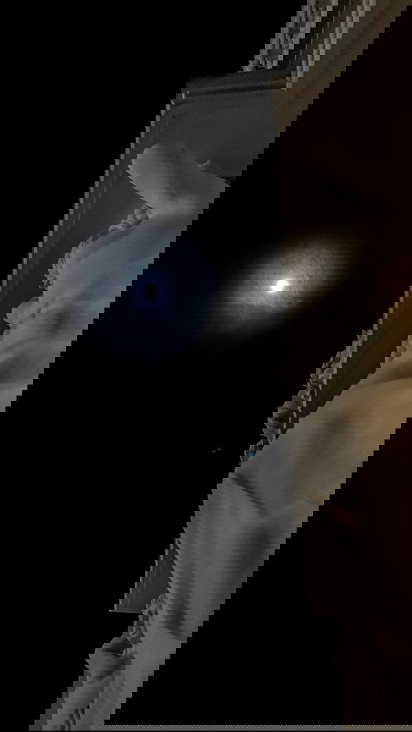 linnnh__h linnnh__h archive image