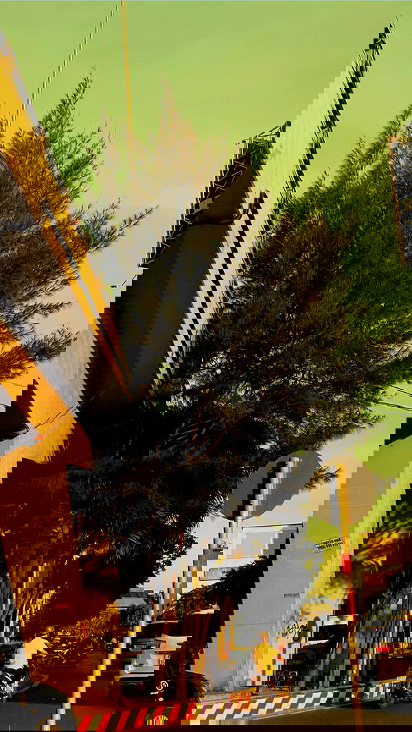 linnnh__h linnnh__h archive image