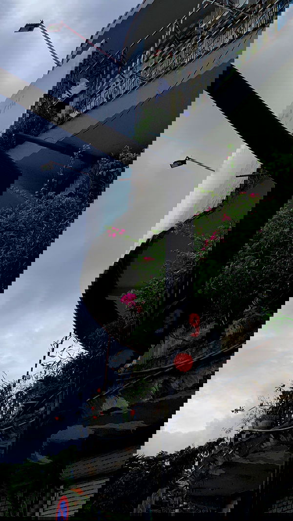 linnnh__h linnnh__h archive image