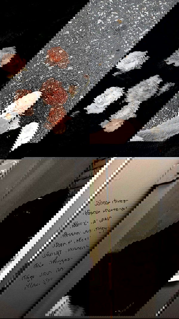 linnnh__h linnnh__h archive image