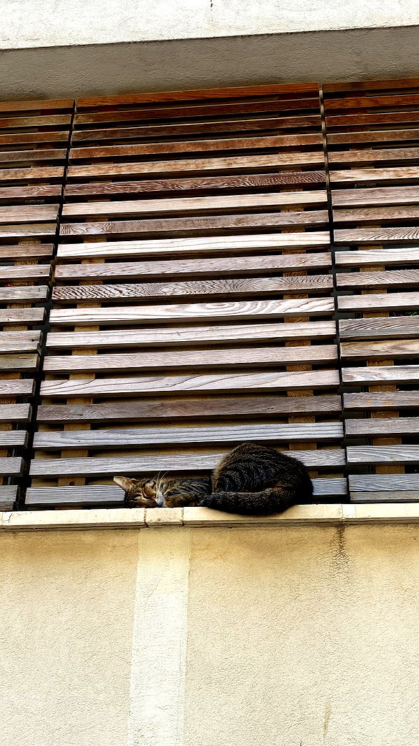 linraimoch instagram image archive image