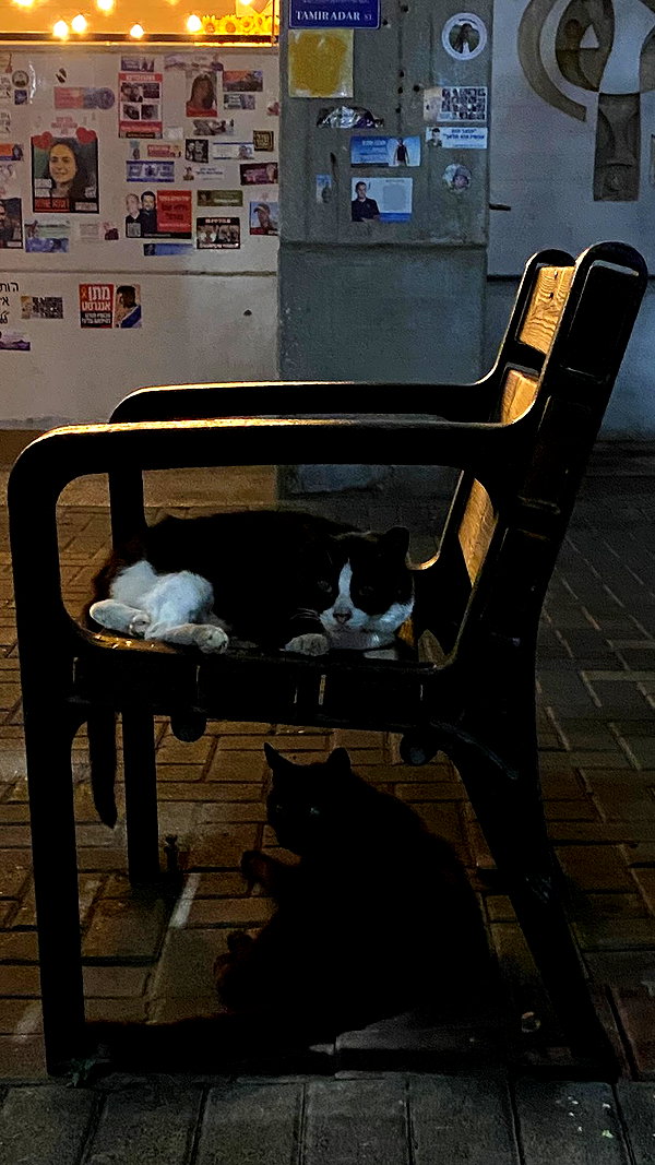 linraimoch linraimoch archive image
