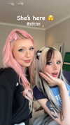 linzor Altpins Profile Picture