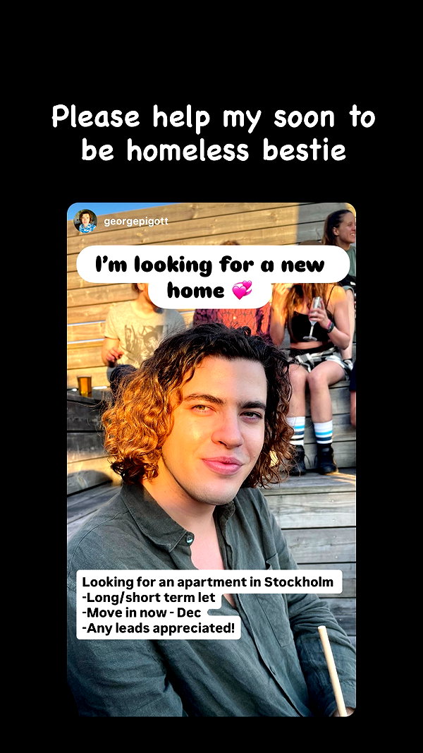 linzor instagram image archive image