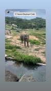 lior_lotati Altpins Profile Picture