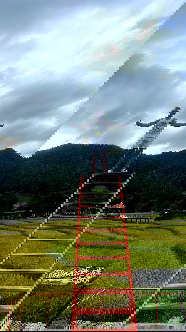 lior_lotati lior_lotati archive image