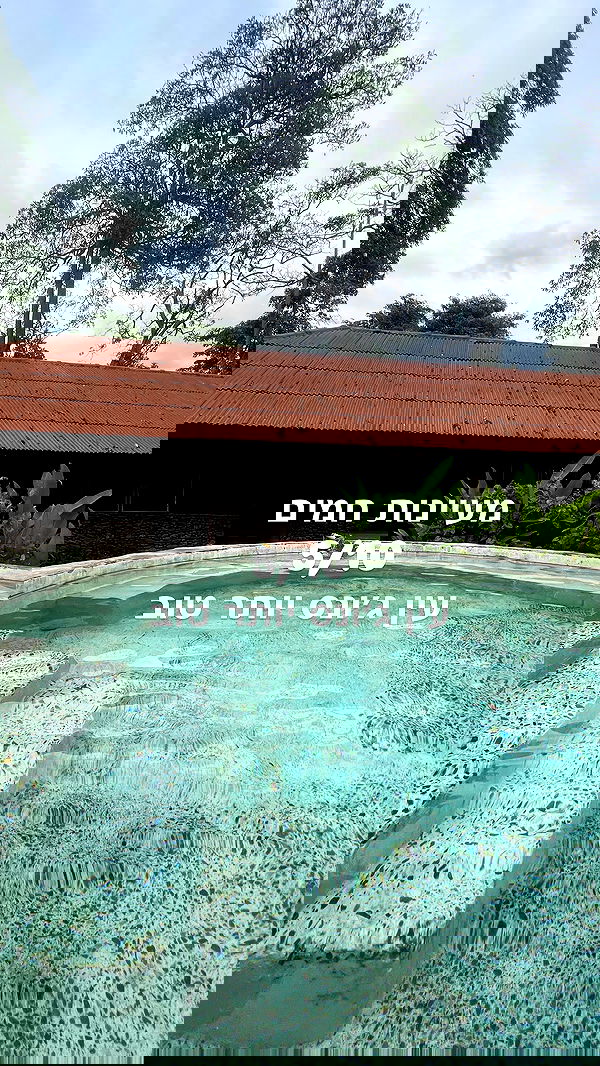 lior_lotati lior_lotati archive image