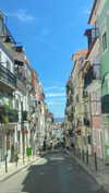 lir.noam Altpins Profile Picture
