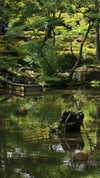 liron_haas Altpins Profile Picture