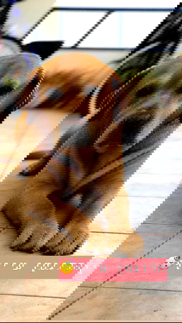 lissi77 lissi77 archive image