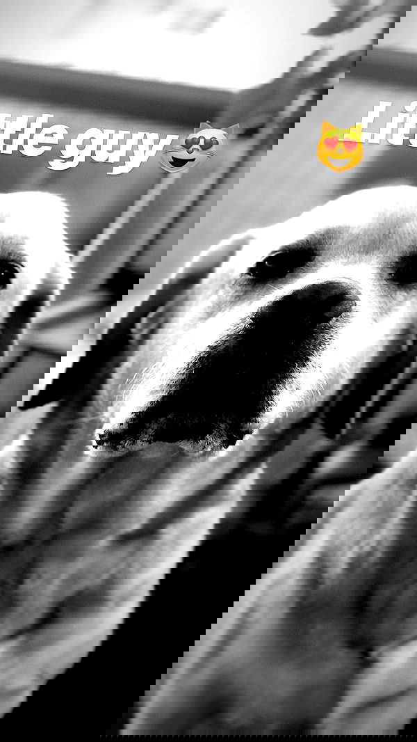 lissi77 lissi77 archive image