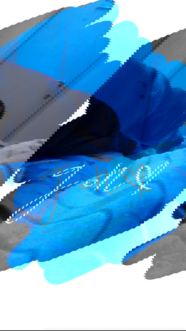 lissi77 lissi77 archive image