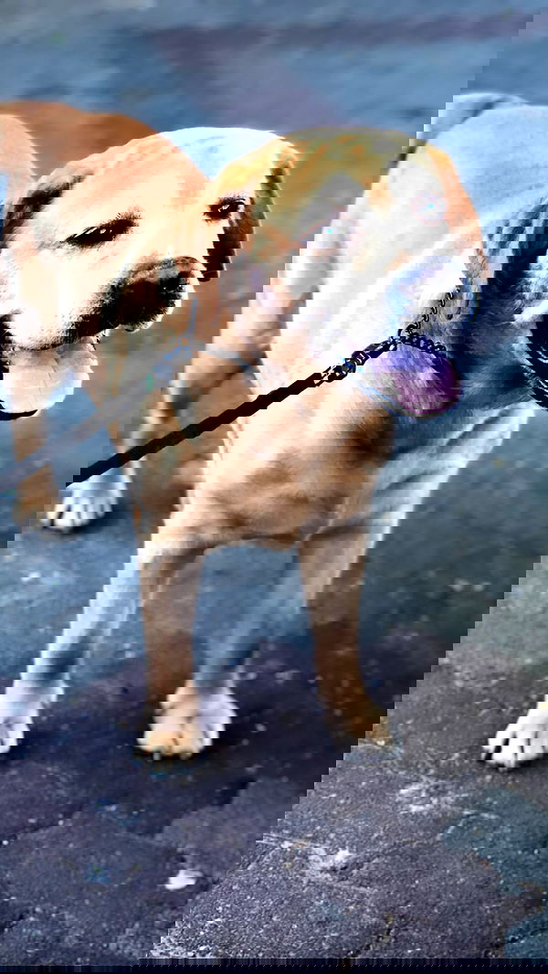 lissi77 lissi77 archive image