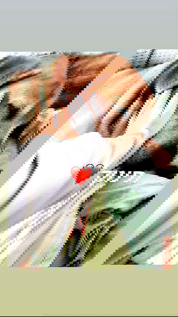 lissi77 lissi77 archive image