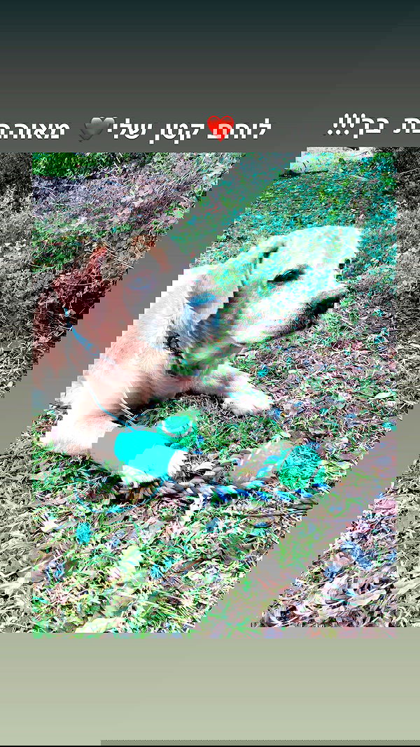 lissi77 lissi77 archive image