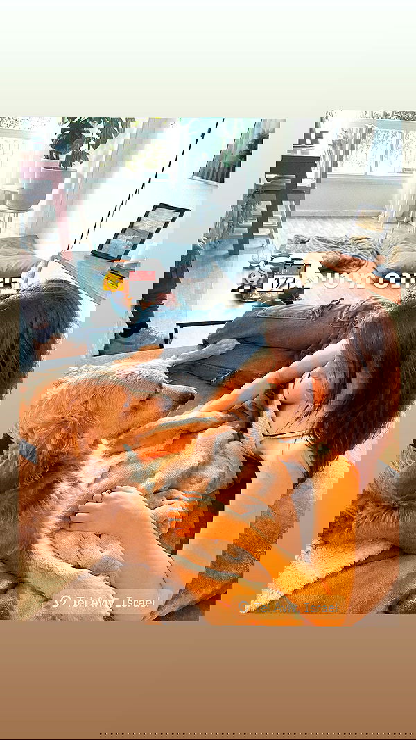 lissi77 lissi77 archive image