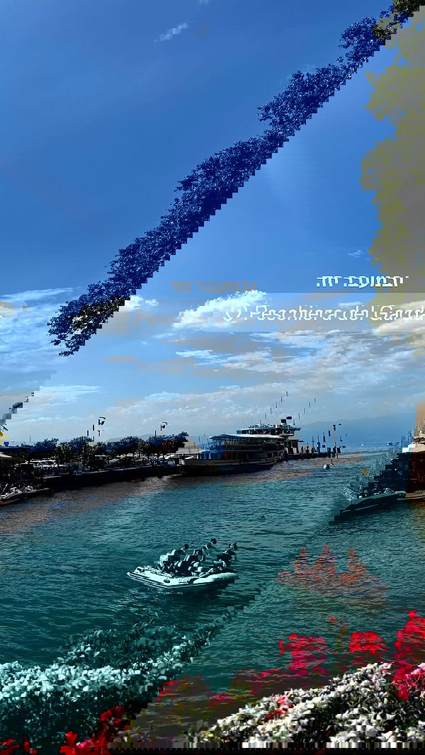 lissi77 lissi77 archive image