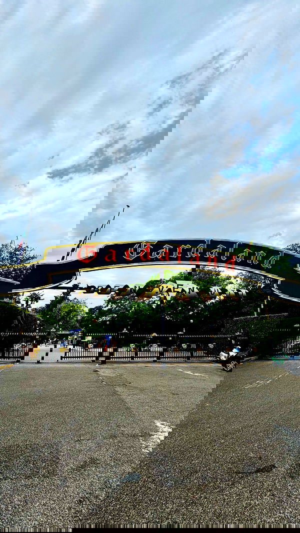 lissi77 lissi77 archive image