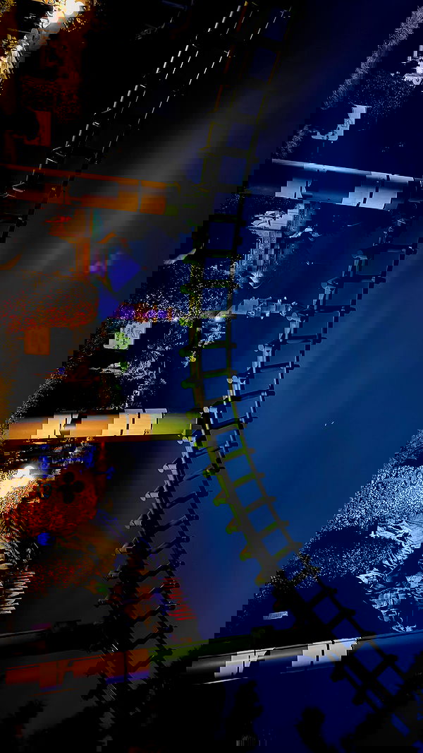 lissi77 lissi77 archive image