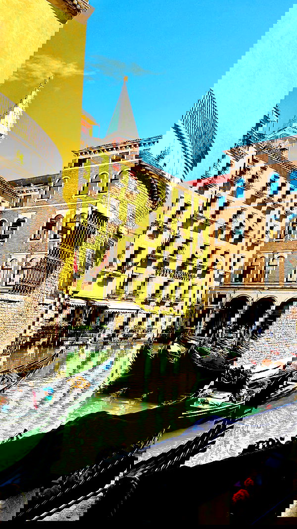 lissi77 lissi77 archive image