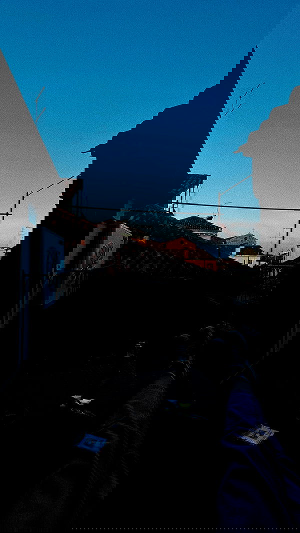 lissi77 lissi77 archive image