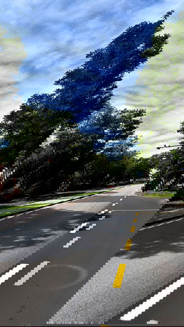 lissi77 lissi77 archive image