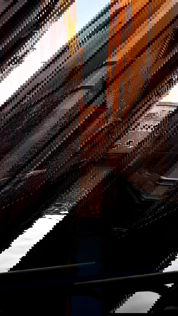 lissi77 lissi77 archive image