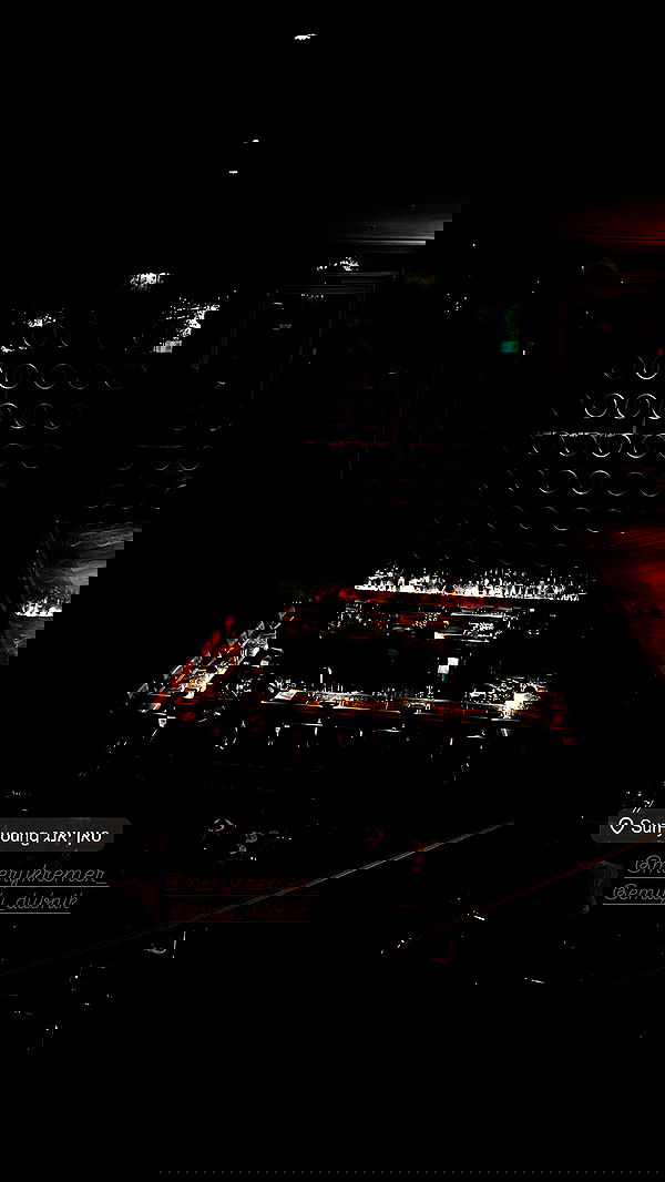 lissi77 lissi77 archive image