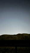 lisssa_sha Altpins Profile Picture