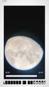 lisssa_sha Altpins Profile Picture