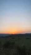 lisssa_sha Altpins Profile Picture