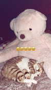 lisssa_sha Altpins Profile Picture