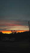 lisssa_sha Altpins Profile Picture