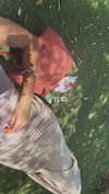 lisssa_sha Altpins Profile Picture