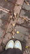 lisssa_sha Altpins Profile Picture