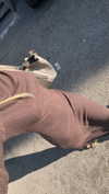lisusha_9 Altpins Profile Picture