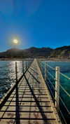 lital.oss Altpins Profile Picture